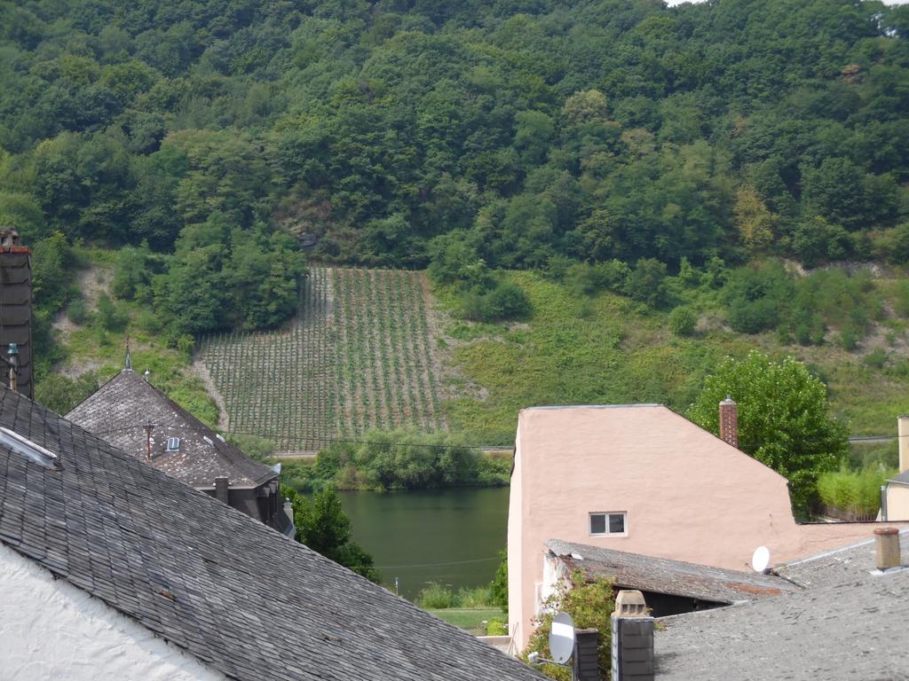Ferienwohnung In Vino Veritas ノイマゲン・ダオン エクステリア 写真